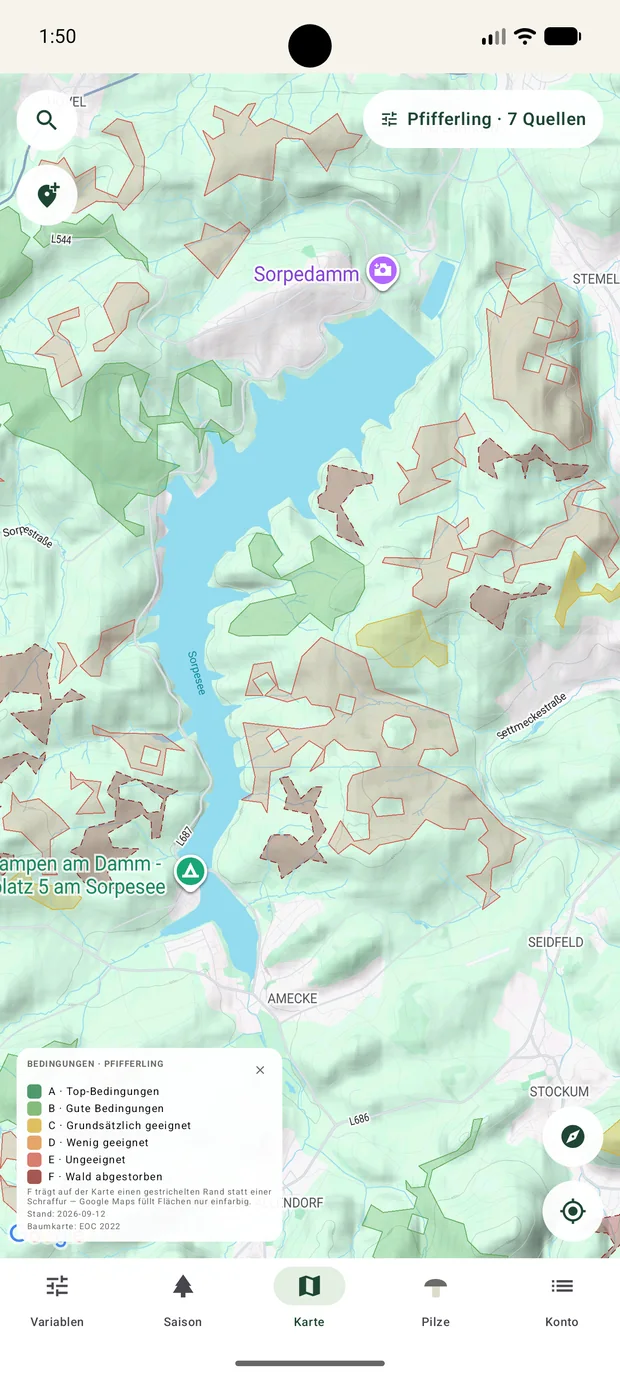 Karte am Sorpesee, gefiltert auf den Pfifferling