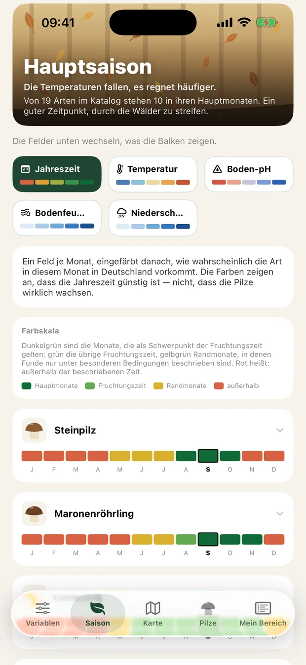 Saisonansicht mit Monatsbalken für Steinpilz und Maronenröhrling